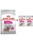 Mini Exigent Köpek Maması 3 kg + 2 Adet Yaş Mama Hediye 1