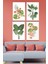 4 Parça Tropic Set Tablo 1