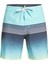 Surfsilk Panel 18 Erkek Boardshort EQYBS04658 1