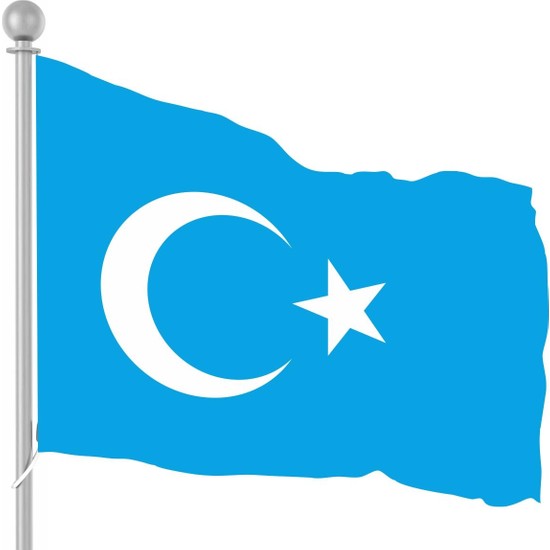 Sb Sistem Bayrak Doğu Türkistan Bayrağı 50X75CM