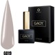 G019