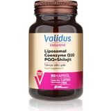 Validus Exclusive Liposomal Coenzyme Q10 + PQQ + Shilajit Kapsül