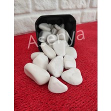 Asenya Beyaz Dolomit Taş 5 kg 2,5-4 cm Dere Çakıl Taşı Bahçe Süs Taşı Saksı Teraryum Taşı Akvaryum Taşı