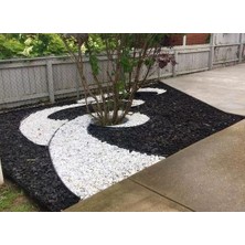 Asena Beyaz Dolomit Taş 5 kg 4-6 cm Dekoratif Taş Bahçe Süs Taşı Doğal Dere Çakıl Taşı