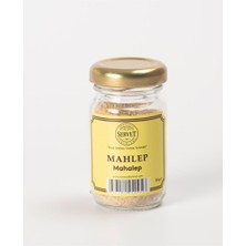 Bercekız Servet Şekerleme Toz Mahlep 35 gr