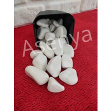 Asenya Beyaz Dolomit Taş 3 kg 2-4 cm Dere Çakıl Taşı Bahçe Süs Taşı Saksı Teraryum Taşı Akvaryum Taşı