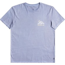 Quiksilver Slow Mover Erkek T-shirt EQYZT06701
