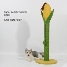 Mısır Sisal Kedi Tırmalama Sütunu Taşlama Pençe Küçük Kedi Tırmanma Çerçevesi