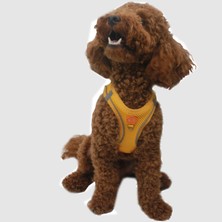 Pawstar Gold Air-Mesh Göğüs Tasması Kedi Köpek Göğüs Tasması 2xs