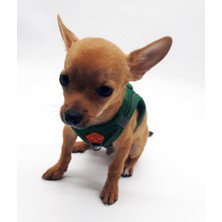 Pawstar Çam Yeşili Air-Mesh Göğüs Tasması Kedi Köpek Göğüs Tasması 3xs