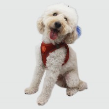 Pawstar Kiremit Air-Mesh Göğüs Tasması Kedi Köpek Göğüs Tasması 3xs