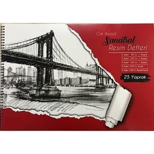 Defne Resim Defteri Çok Amaçlı Sanatsal 35X50CM 25 Yp.