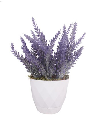 Nettenevime Yapay Çiçek Lavanta Beyaz Saksıda Masa Çiçeği
