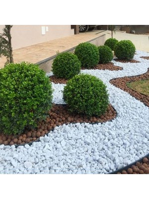 Asenya Beyaz Dolomit Taş 2 kg 4-6 cm Dekorotif Taş Bahçe Süs Taşı Doğal Dere Çakıl Taşı