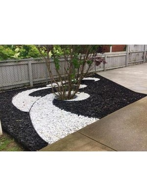 Asena Beyaz Dolomit Taş 5 kg 4-6 cm Dekoratif Taş Bahçe Süs Taşı Doğal Dere Çakıl Taşı