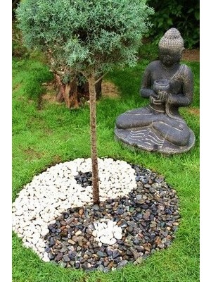 Asenya Beyaz Taş 2 kg 6-10 cm Beyaz Dolomit Taş Dere Taşı Çakıl Taşı Bahçe Süs Taşı Akvaryum Teraryum Taşı