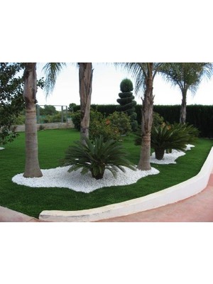 Asenya Beyaz Dolomit  Taş 25 kg 1-2 cm Beyaz Dolomit Taş Dere Taşı Çakıl Taşı Bahçe Süs Taşı Akvaryum Teraryum Taşı
