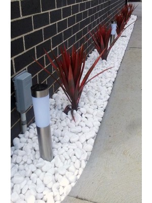 Asenya Beyaz Dolomit Taş 15 kg 2-4 cm Dere Çakıl Taşı Bahçe Süs Taşı Saksı Teraryum Taşı Akvaryum Taşı