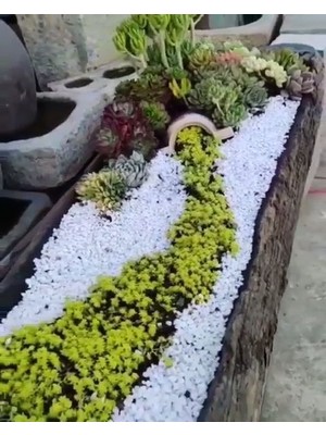 Asenya Beyaz Dolomit Taş 20 kg 2-4 cm Dere Çakıl Taşı Bahçe Süs Taşı Saksı Teraryum Taşı Akvaryum Taşı