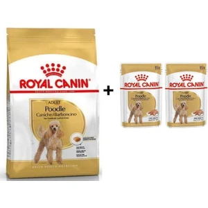 Royal Canin Poodle Adult Köpek Maması 3 Kg + 2'Li Yaş Mama