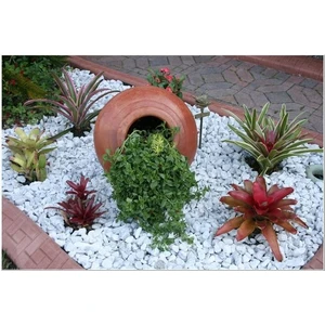 Beyaz Dolomit Taş 25 kg 4-6 cm Dekoratif Taş Bahçe Süs Taşı Doğal Dere Çakıl Taşı