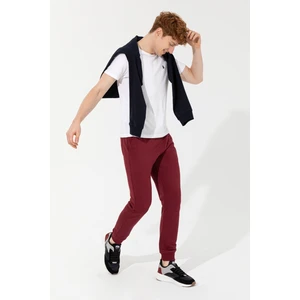 U.S. Polo Assn. Erkek Vişne Örme Pantolon 50257274-VR223