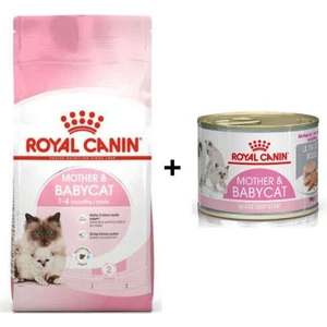 Royal Canin Mother Babycat  Yavru Kuru Kedi Maması 4 kg + 1 Adet Yaş Mama Hediye