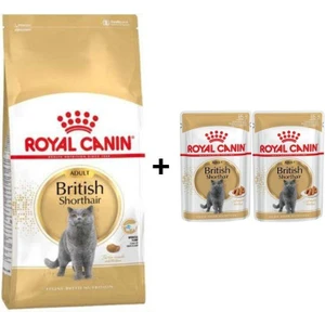Royal Canin British Shorthair Yetişkin Kedi Maması 2 kg + 2 Adet Yaş Mama Hediye