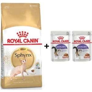Royal Canin Sphynx Yetişkin Kedi Maması 2 kg + 2 Adet Yaş Mama Hediye