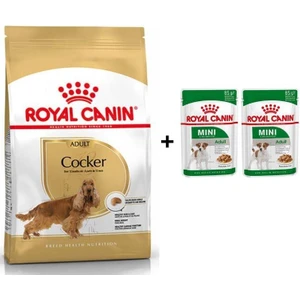 Royal Canin Cocker Yetişkin Köpek Maması 3 kg + 2 Adet Yaş Mama Hediye