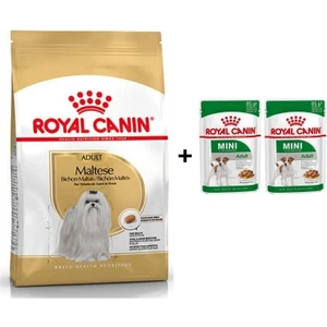 Royal Canin Maltese Bichon Yetişkin Köpek Maması 1,5 kg + 2 Adet Yaş Mama Hediye