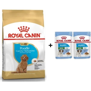 Royal Canin Poodle Puppy Köpek Maması 3 kg + 2 Adet Yaş Mama Hediye