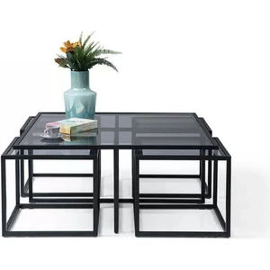 Mobilya Pratik Inget Orta Sehpa Takımı