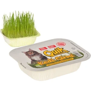 Doğal Kedi Çimi Fileli