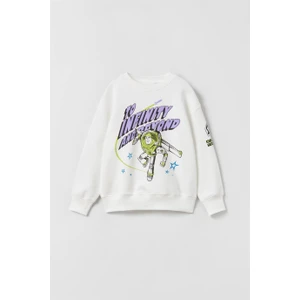 Miniko Kids Erkek Çocuk Bisiklet Yaka Desenli Pamuk Sweat