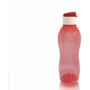 Eco Şişe Suluk Kolay KAPAK750 ml Parıltı