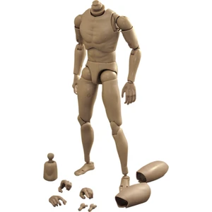 Erkek Dar Omuz Gövdesi 1/6 Fit Headplay Action Figür TTM18 TTM19