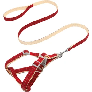 Çizgili Ekose Evcil Hayvan Yaka