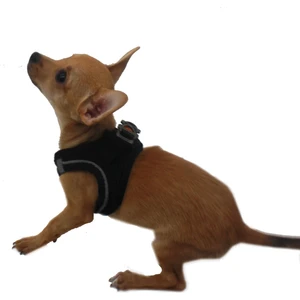 Siyah Air-Mesh Göğüs Tasması Kedi Köpek Göğüs Tasması S