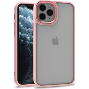 Apple iPhone 11 Pro Kılıf Silikon Kenarlı Arkası Şeffa Renkli Flora Sert Kapak