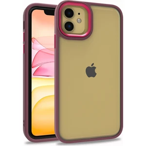 Apple iPhone 11 Kılıf Silikon Kenarlı Arkası Şeffa Renkli Flora Sert Kapak