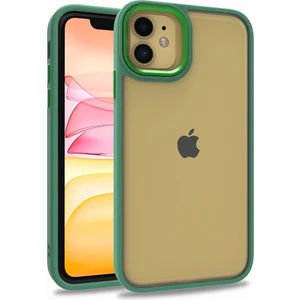 Apple iPhone 11 Kılıf Silikon Kenarlı Arkası Şeffa Renkli Flora Sert Kapak