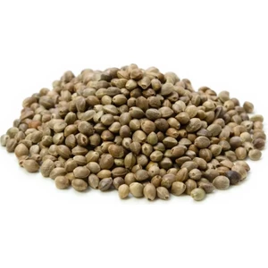 Kendir Tohumu (100 Gr)