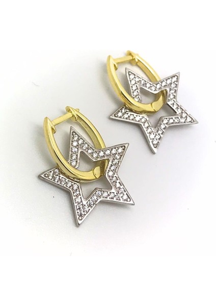 Gümüş Taşlı Yıldız Bayan Küpe DP46221E66