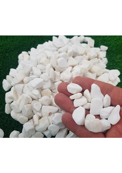 Beyaz Dolomit Taş 2 kg 1,5-2,5 cm Bahçe Taşı Dekoratif Taş Dere Taşı Çakıl Taşı Süs Taşı fiyatları