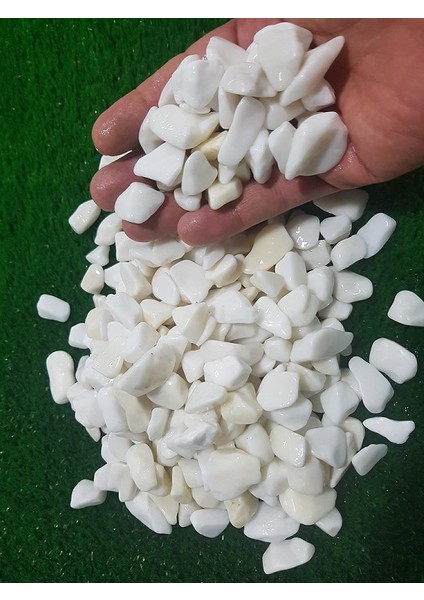 Beyaz Dolomit Taş 10 kg 1,5-2,5 cm Bahçe Taşı Dekoratif Taş Dere Taşı Çakıl Taşı Süs Taşı