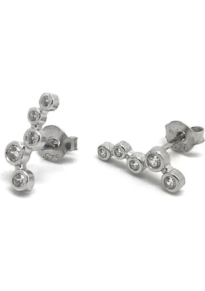 Gümüş Taşlı Bayan Küpe DLP9E6