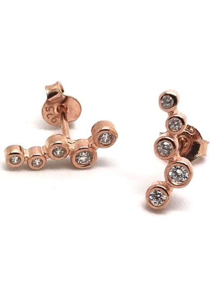 Gümüş Taşlı Bayan Küpe DLP9E6 fiyatları