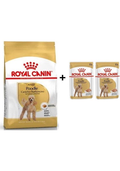 Royal Canin Poodle Adult Köpek Maması 3 Kg + 2'Li Yaş Mama