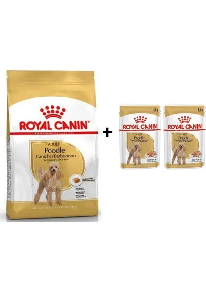 Royal Canin Poodle Adult Köpek Maması 3 Kg + 2'Li Yaş Mama